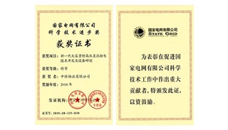 2018年度國家電網(wǎng)有限公司科學(xué)技術(shù)進(jìn)步特等獎